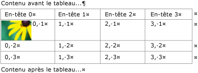 Table imbriquée avec une image dans un conteneur de texte