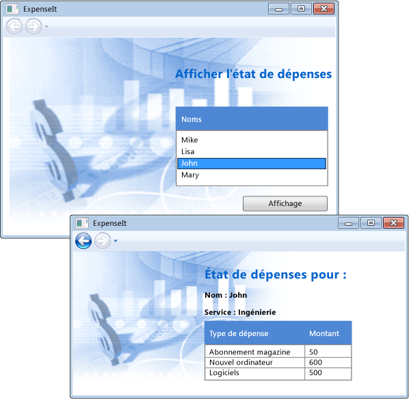 Captures d'écran : exemple ExpenseIt