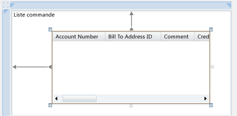 RIADisplayingData03OrderListPageWithDataGrid