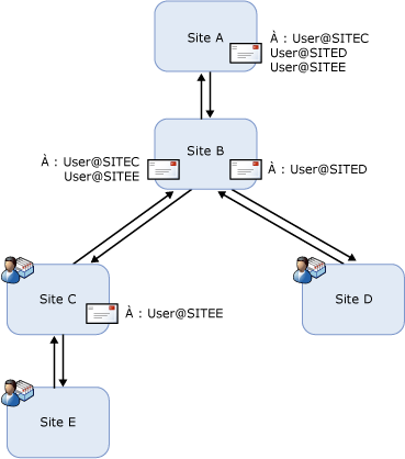 Distribution ramifiée retardée