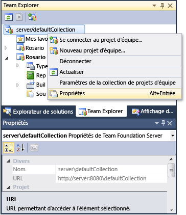 Propriétés de Team Foundation Server : URL