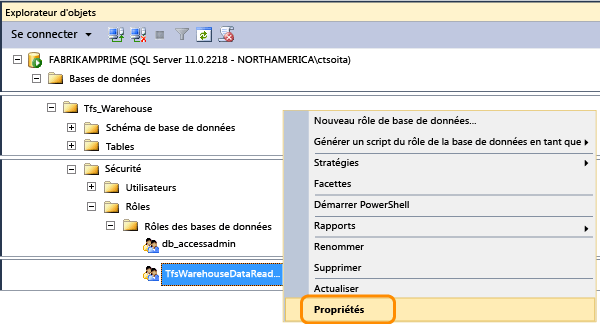 Ouvrir les propriétés du rôle de lecteur de données Tfs_Warehouse