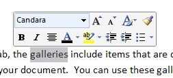 Text formatting menu in Word 12