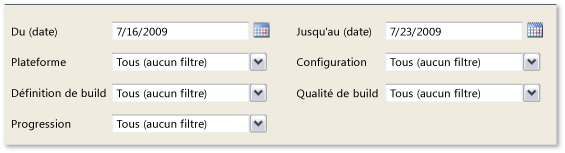 Filtres pour le rapport Résumé de la build