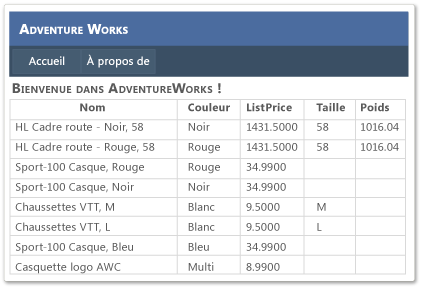 Page d'accueil Adventure Works avec colonne Apparence