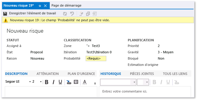 Risk work item form