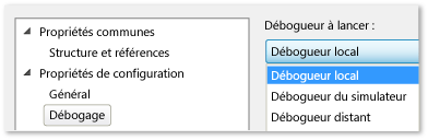 Page de propriétés du projet C++ et JavaScript