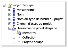 Dimension du projet d'équipe