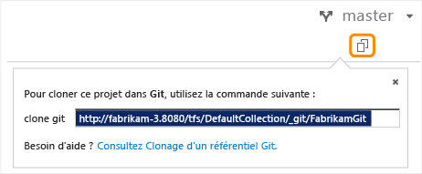 Copie de l'URL dans laquelle cloner manuellement un référentiel