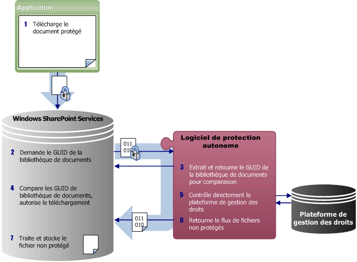 Étapes du logiciel de protection intégré après l’archivage