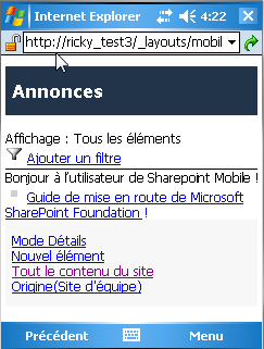 Section de corps personnalisée en affichage de liste mobile