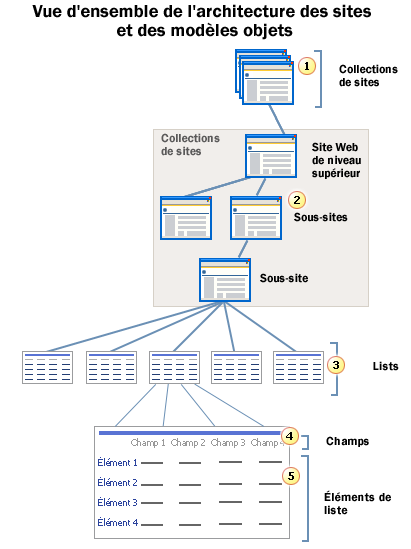 Architecture du site