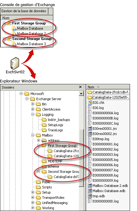 Groupes et fichiers de stockage Exchange 2007