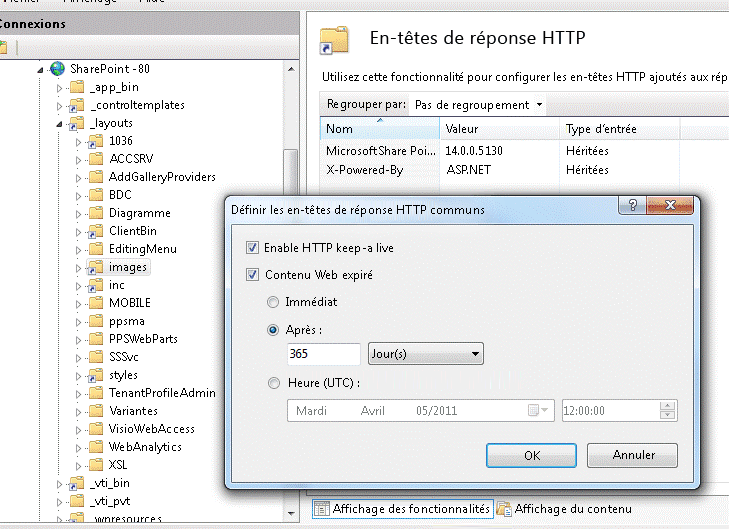 Boîte de dialogue Définir les en-têtes de réponse HTTP communs