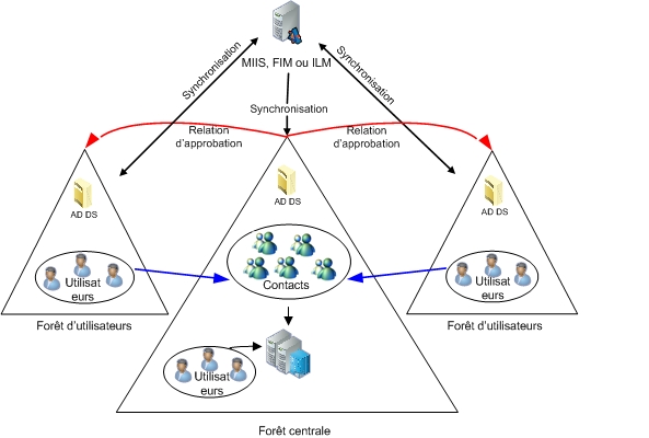 Topologie de forêt centrale