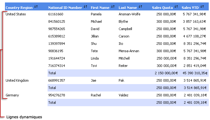 Rapport de table avec données.