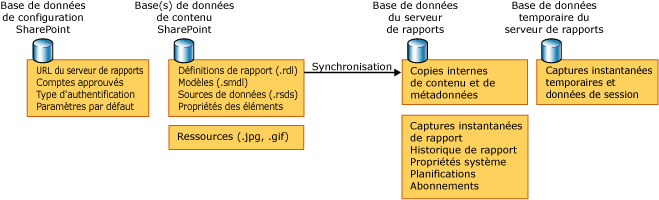 Schéma de base de données