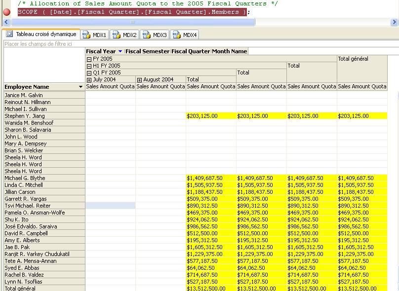 Valeur calculée pour le membre Q1 FY 2005