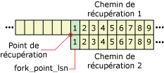 Réutilisation des numéros LSN dans différents branchements de récupération