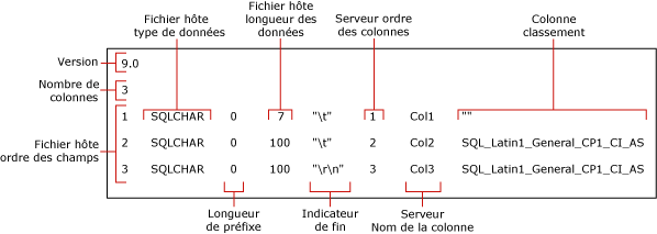 fichier de format non-XML par défaut pour myTestSkipCol