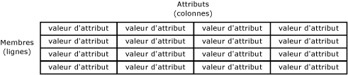 Entité Master Data Services représentée en tant que table