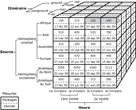 Cellules des 3e et 4e trimestres pour le membre de la 2e moitié