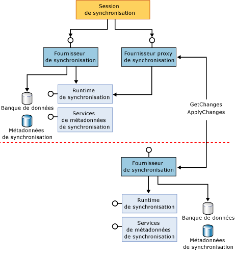 Composants de participants complets et proxy