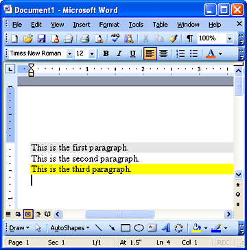 Microsoft Word