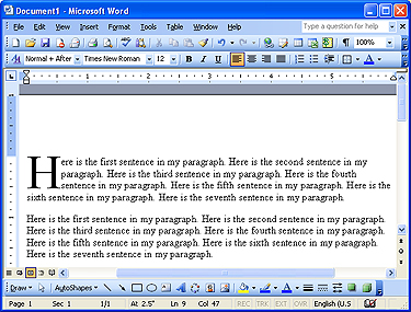 Microsoft Word