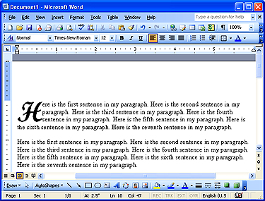 Microsoft Word