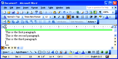 Microsoft Word