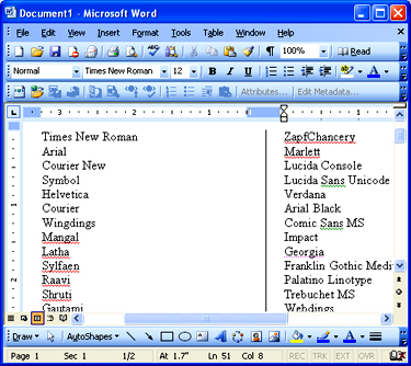 Microsoft Word