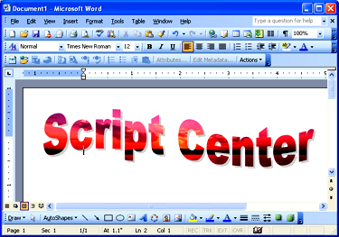 Microsoft Word