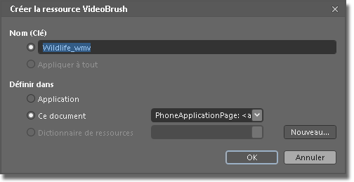 Boîte de dialogue Créer une ressource VideoBrush