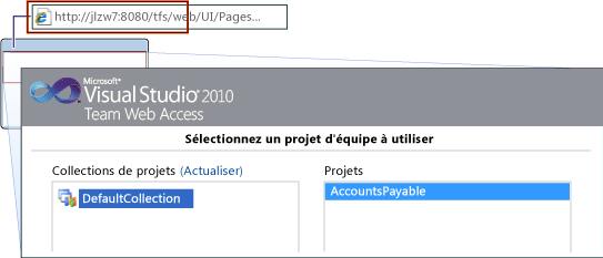 Accéder à Team Web Access