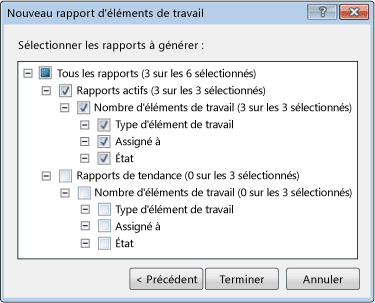 Boîte de dialogue développée du rapport Nouvel élément de travail