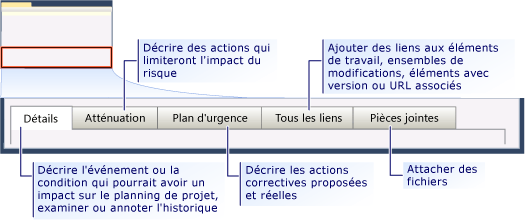 Formulaire d'élément de travail Risque CMMI - onglets