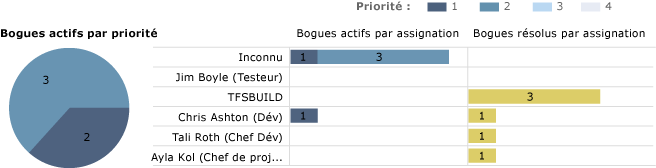 Moitié inférieure du rapport d'état des bogues