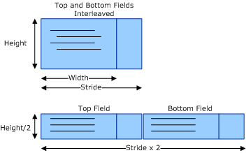 Diagram illustrating the memory layout of a video surface containing two interleaved fields.