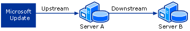 WSUS Servers Chained Together