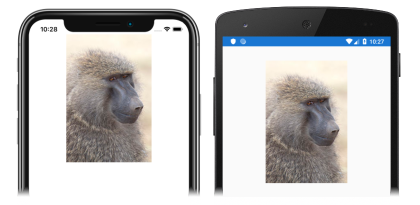 Capture d’écran d’une image sur iOS et Android