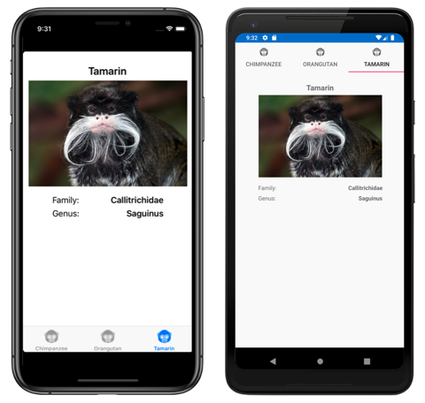 Capture d’écran d’un TabbedPage modèle, sur iOS et Android