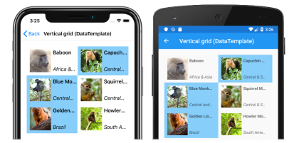 Capture d’écran d’une disposition de grille verticale CollectionView, sur iOS et Android