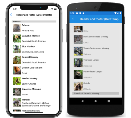 Capture d’écran d’un en-tête et d’un pied de page CollectionView à l’aide de modèles, sur iOS et Android