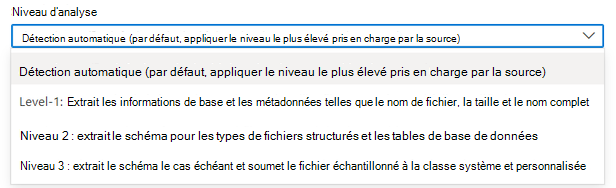 Capture d’écran montrant la liste déroulante pour la sélection des niveaux d’analyse.