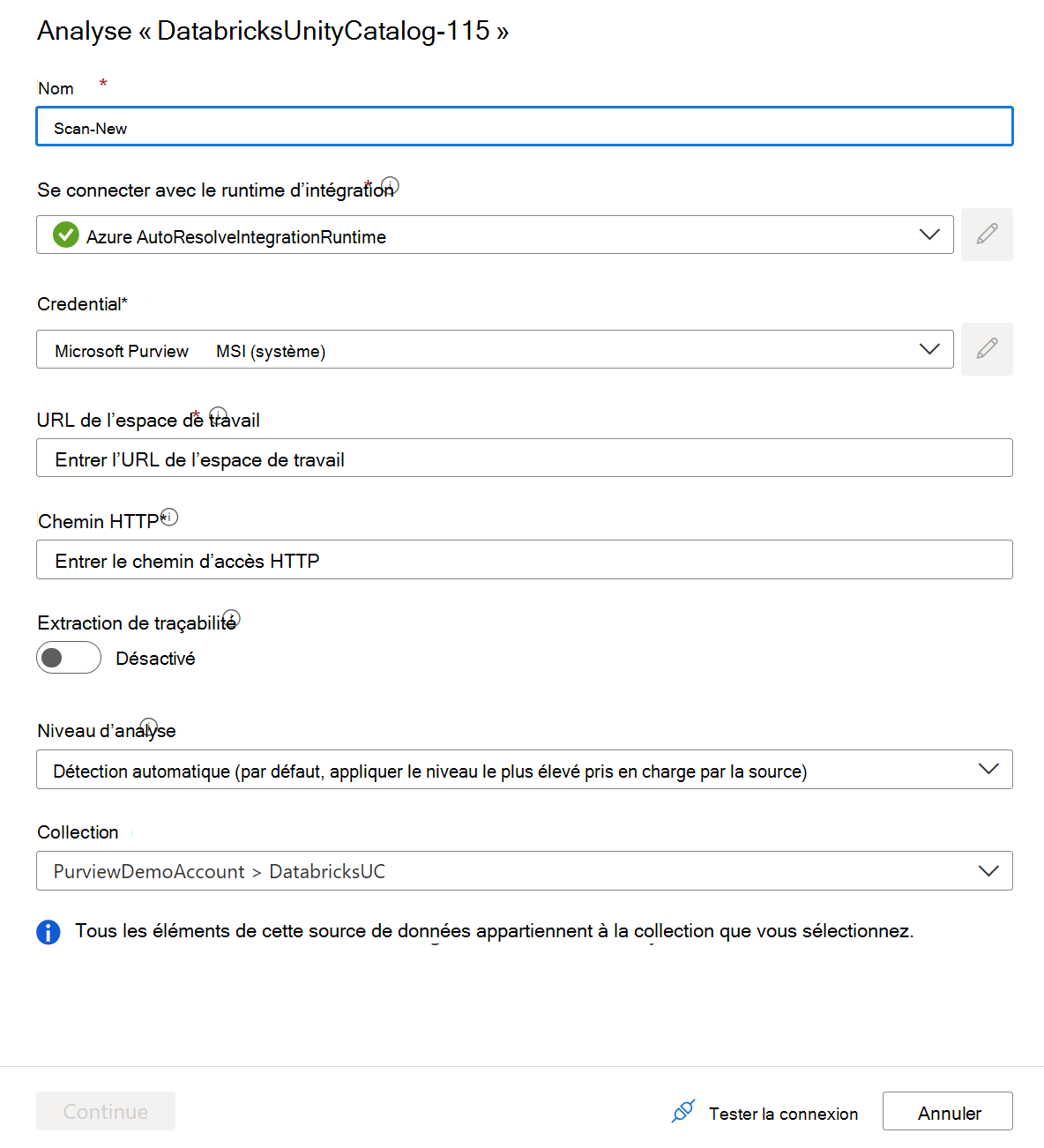 Capture d’écran de la configuration de l’analyse Azure Databricks Unity Catalog.