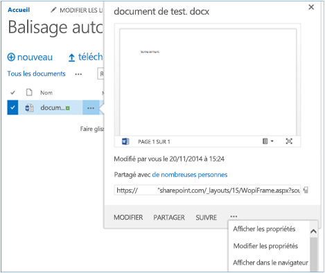 Capture d’écran d’un document de test dans la bibliothèque avec les propriétés développées.