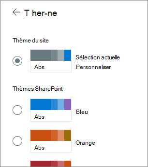 Image des options de thème de site