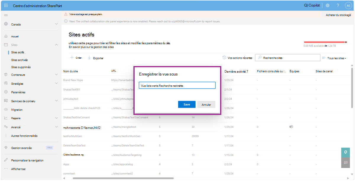 Capture d’écran de l’affichage des noms de sites actifs personnalisés