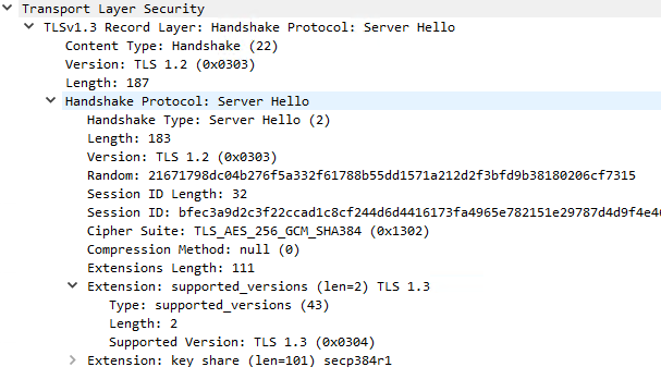 Capture d’écran de la section extension TLS.